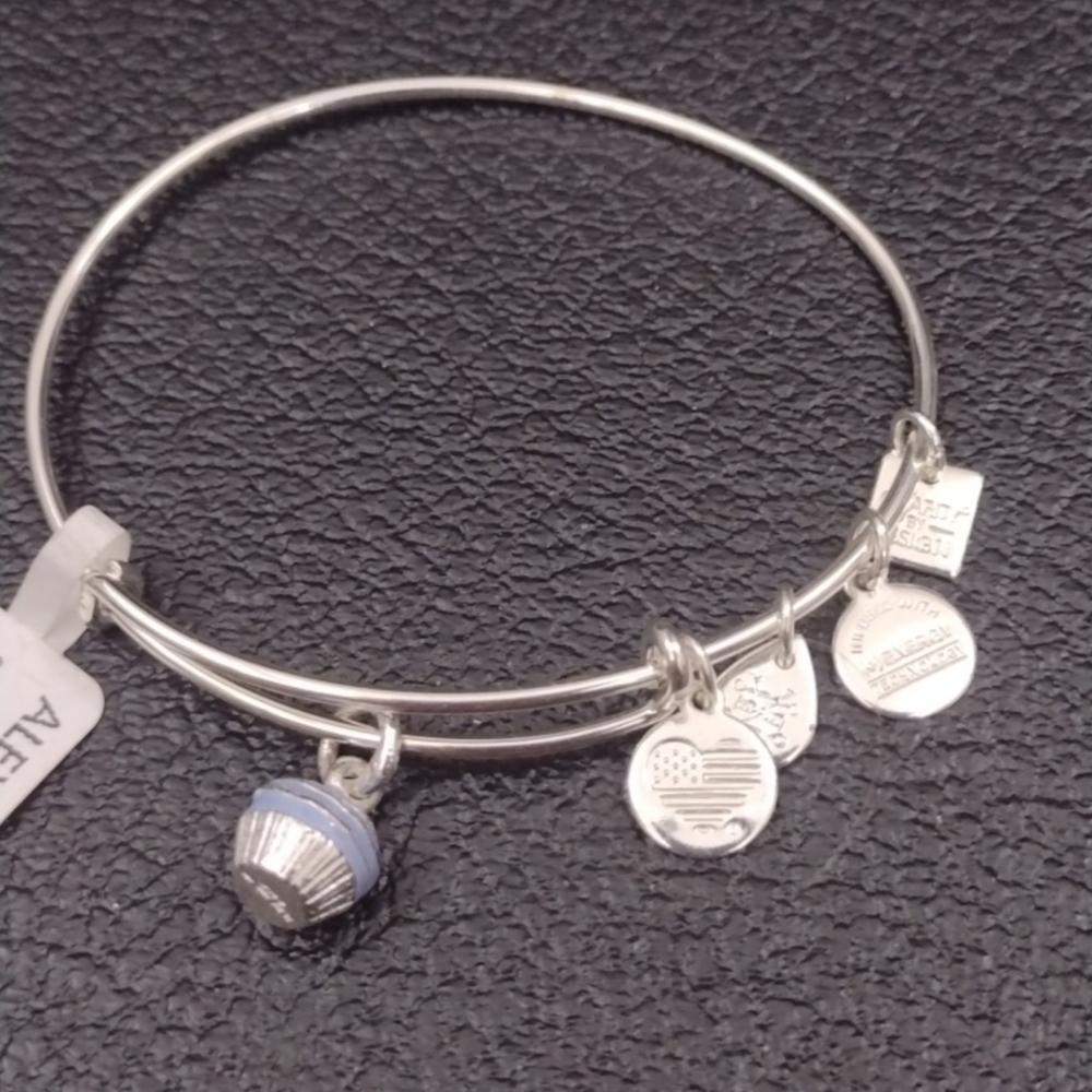 Alex and Ani Silver Adjustable Charm Bracelet with Cupcake New Old Stock NOS